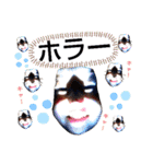こうき＆ゆうほ＆ゆうな（個別スタンプ：30）