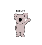 素朴なコアラ（個別スタンプ：20）