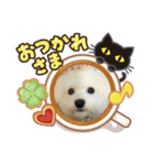 ビジョンフリーゼ、モチ（個別スタンプ：2）