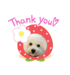 ビジョンフリーゼ、モチ（個別スタンプ：3）