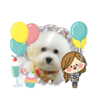 ビジョンフリーゼ、モチ（個別スタンプ：8）
