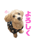 ディオすたんぷ（個別スタンプ：7）