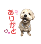 ディオすたんぷ（個別スタンプ：9）