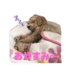 ディオすたんぷ（個別スタンプ：13）