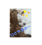 ディオすたんぷ（個別スタンプ：14）