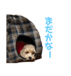 ディオすたんぷ（個別スタンプ：15）