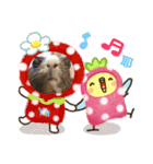 ちょっぴのスタンプ（個別スタンプ：11）