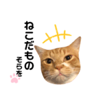 空、ときどき豆（個別スタンプ：2）