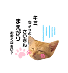 空、ときどき豆（個別スタンプ：5）