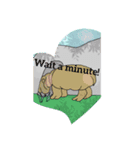 英語でひとことカバ申す（個別スタンプ：7）