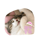 ふくちゃんのひらがな2（個別スタンプ：1）