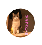 ふくちゃんのひらがな2（個別スタンプ：2）