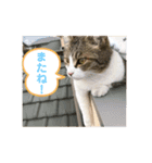 ふくちゃんのひらがな2（個別スタンプ：4）