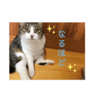 ふくちゃんのひらがな2（個別スタンプ：7）