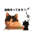 猫のもふさんスタンプその3（個別スタンプ：9）