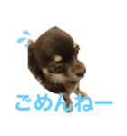 毎日ポン（個別スタンプ：8）