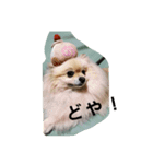 king marron3（個別スタンプ：1）