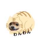 king marron3（個別スタンプ：4）
