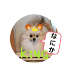 king marron3（個別スタンプ：8）