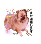 お空組☆愛犬スタンプ（個別スタンプ：3）