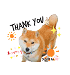 お空組☆愛犬スタンプ（個別スタンプ：5）