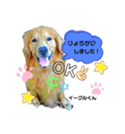 お空組☆愛犬スタンプ（個別スタンプ：11）