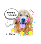 お空組☆愛犬スタンプ（個別スタンプ：12）