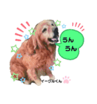 お空組☆愛犬スタンプ（個別スタンプ：14）