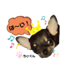 お空組☆愛犬スタンプ（個別スタンプ：18）