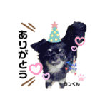 お空組☆愛犬スタンプ（個別スタンプ：20）