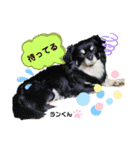 お空組☆愛犬スタンプ（個別スタンプ：21）