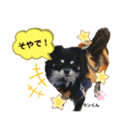 お空組☆愛犬スタンプ（個別スタンプ：22）