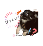 お空組☆愛犬スタンプ（個別スタンプ：23）