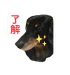 どうも、ジャックです。（個別スタンプ：1）