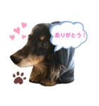 どうも、ジャックです。（個別スタンプ：5）