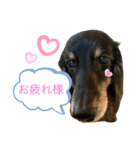 どうも、ジャックです。（個別スタンプ：6）
