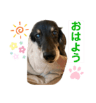 どうも、ジャックです。（個別スタンプ：7）