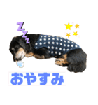 どうも、ジャックです。（個別スタンプ：8）