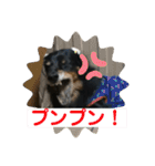 どうも、ジャックです。（個別スタンプ：9）
