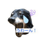 どうも、ジャックです。（個別スタンプ：11）