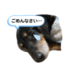 どうも、ジャックです。（個別スタンプ：12）
