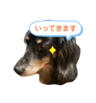 どうも、ジャックです。（個別スタンプ：13）