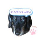 どうも、ジャックです。（個別スタンプ：14）