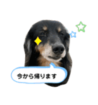 どうも、ジャックです。（個別スタンプ：15）