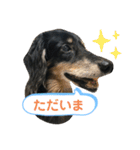 どうも、ジャックです。（個別スタンプ：16）