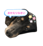 どうも、ジャックです。（個別スタンプ：17）