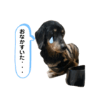 どうも、ジャックです。（個別スタンプ：18）