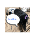 どうも、ジャックです。（個別スタンプ：22）