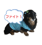 どうも、ジャックです。（個別スタンプ：27）