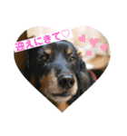 どうも、ジャックです。（個別スタンプ：29）